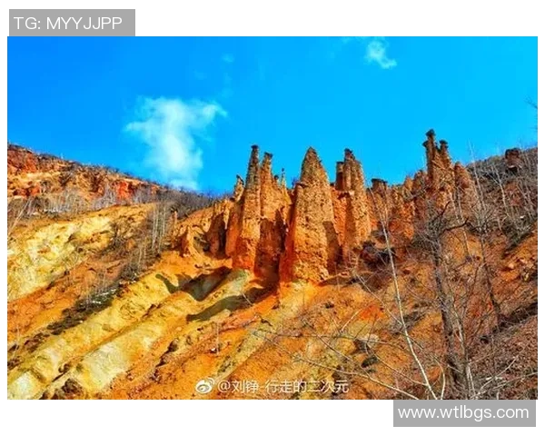 巴尔干足球天才崛起：从塞尔维亚到克罗地亚的传奇球星之路