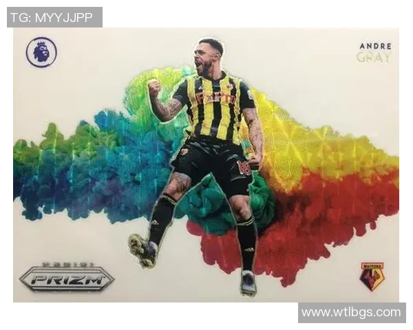 帕尼尼2018世界杯足球球星卡收藏价值与球迷热情全面解析